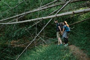 Bush walking in Roeburne Heritage Trail